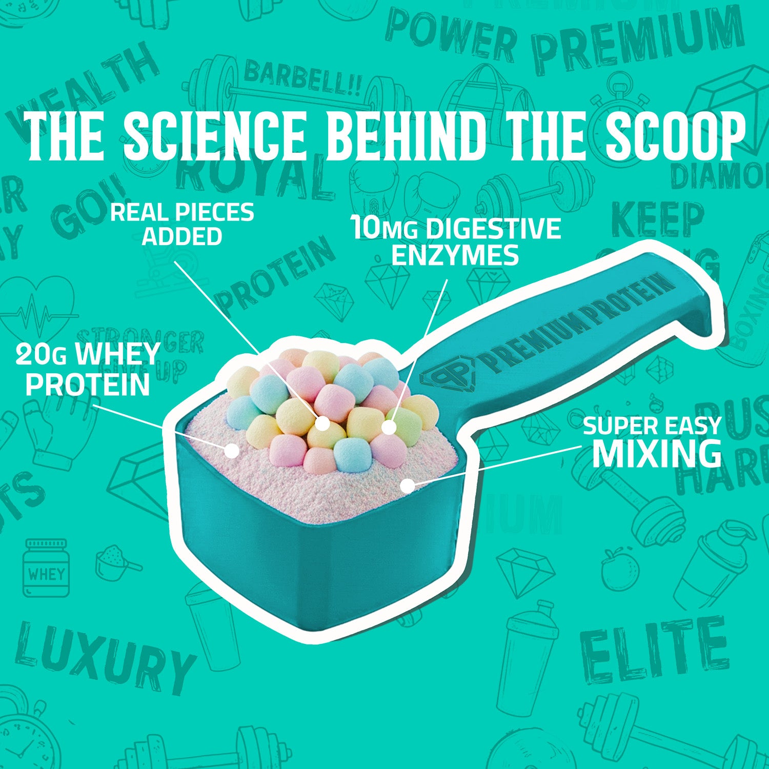 Premium Protein – Marshmallow