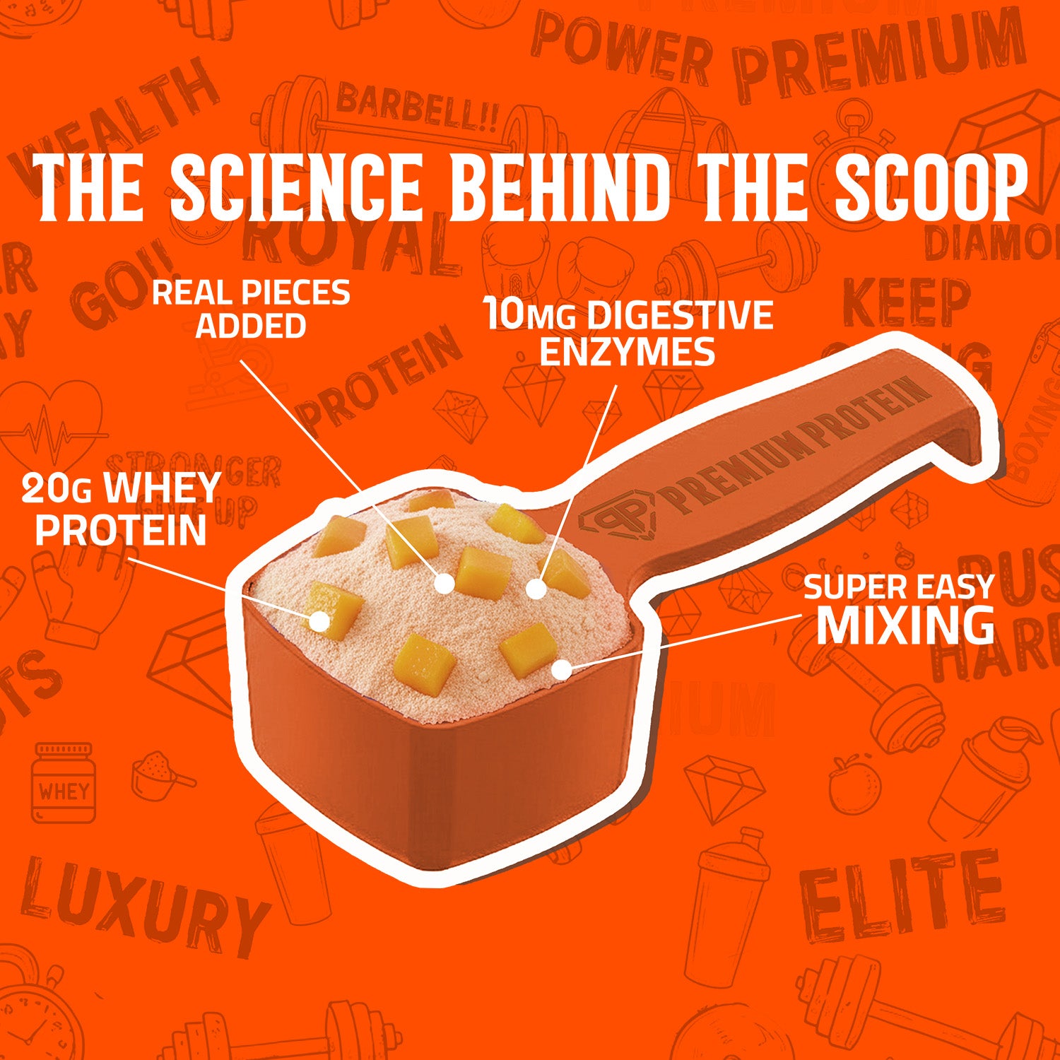 Premium Protein –   Mango Chunks Edition